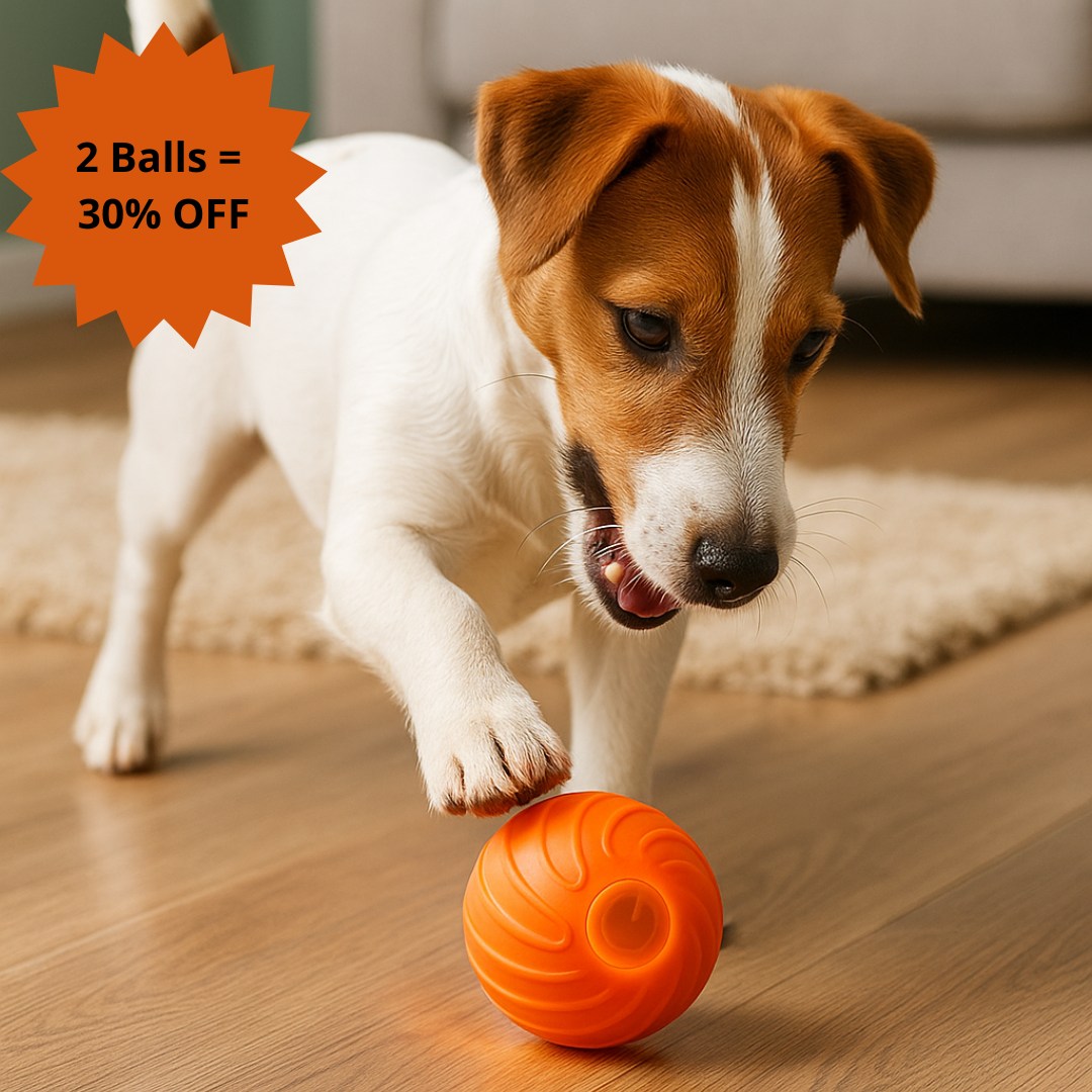 BounceBuddy™ Slimme Springbal